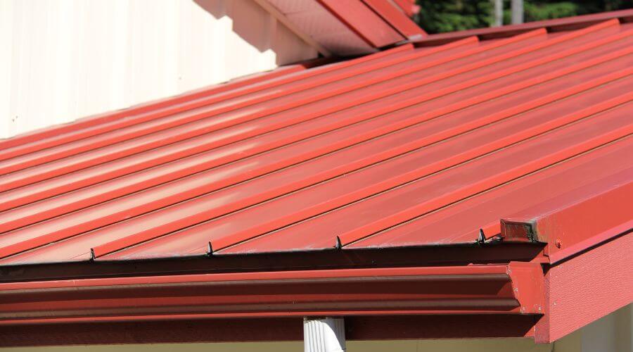Gutter Debris Removal in Lake Bronson, MN